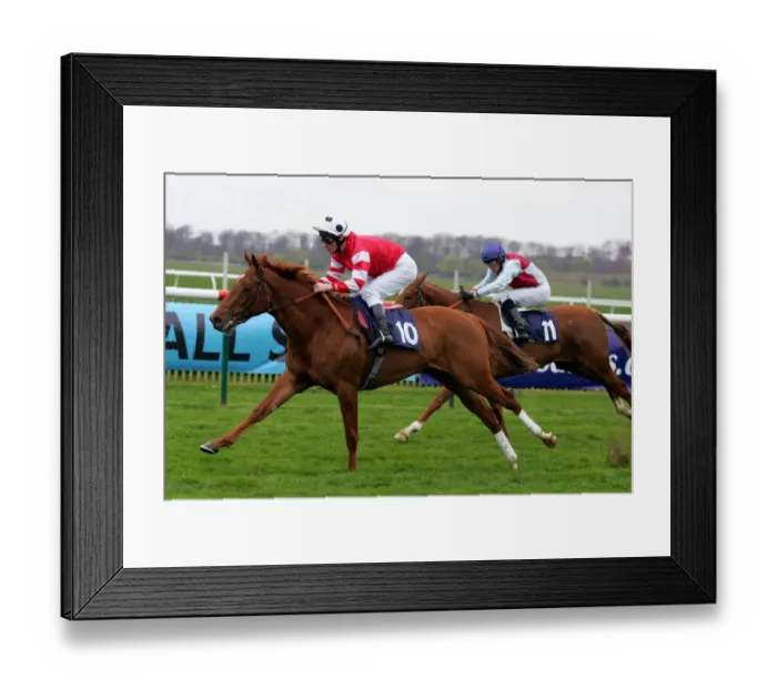 Framed Print : Silk Blossom & Tarkamara Framed Print : Silk Blossom & Tarkamara