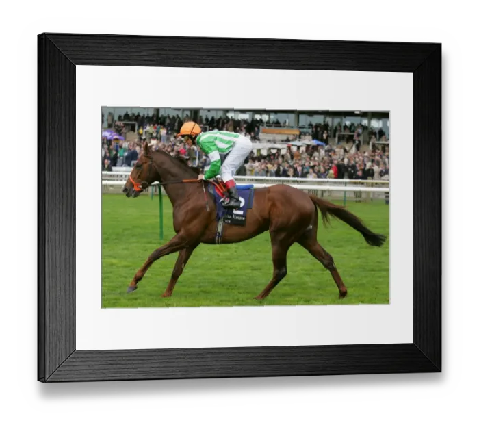 Framed Print : Manston Ridden By L.Dettori Craven Meeting, Newmarket Rowley Mile Course Framed Print : Manston Ridden By L.Dettori Craven Meeting, Newmarket Rowley Mile Course