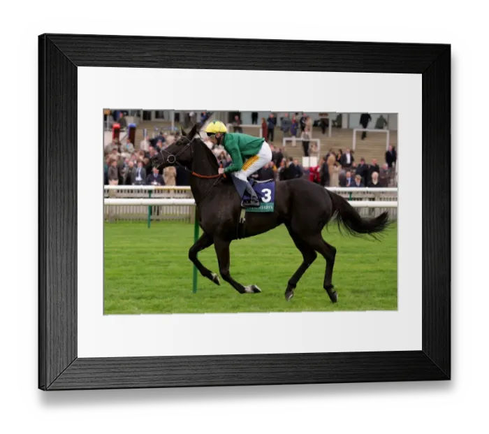 Framed Print : Kew Green Ridden By Dane O Neil Craven Meeting Framed Print : Kew Green Ridden By Dane O Neil Craven Meeting