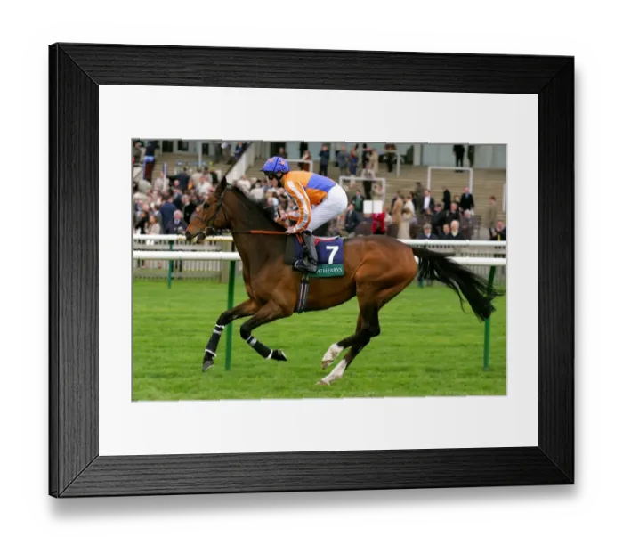 Framed Print : Spanish Don Framed Print : Spanish Don