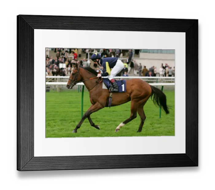 Framed Print : Arzaag Ridden By Martin Dwyer Craven Meeting, Newmarket Rowley Mile Course