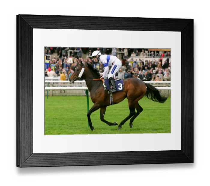 Framed Print : Mr Sandicliffe Framed Print : Mr Sandicliffe