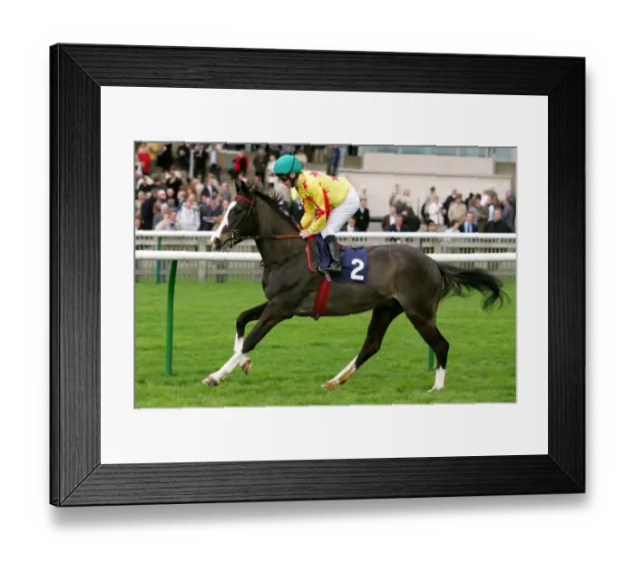 Framed Print : Diktatorship Framed Print : Diktatorship