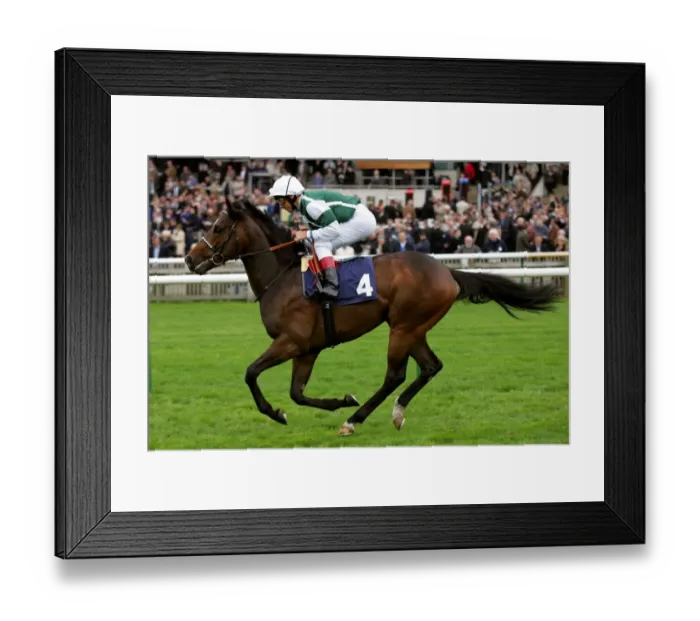 Framed Print : Excellent Art Framed Print : Excellent Art