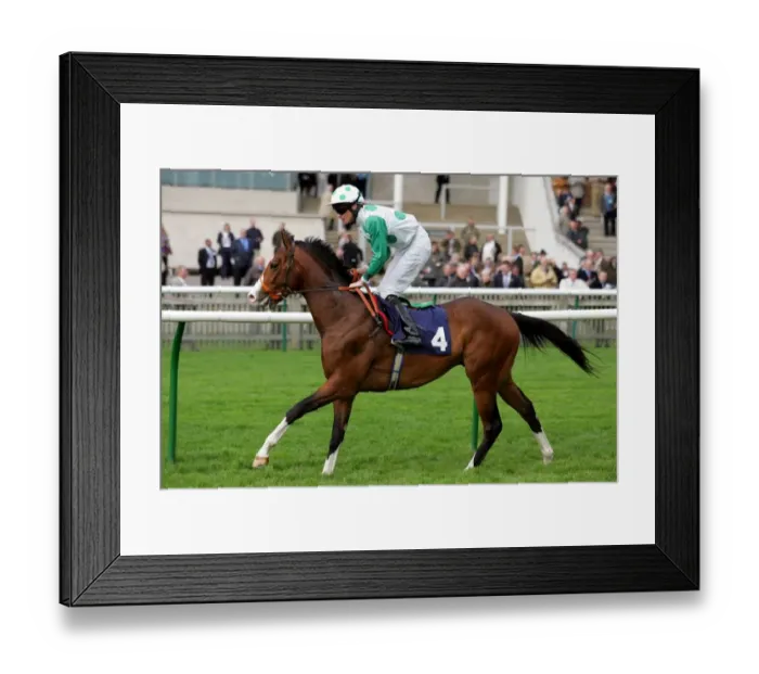 Framed Print : Gin Jockey Framed Print : Gin Jockey