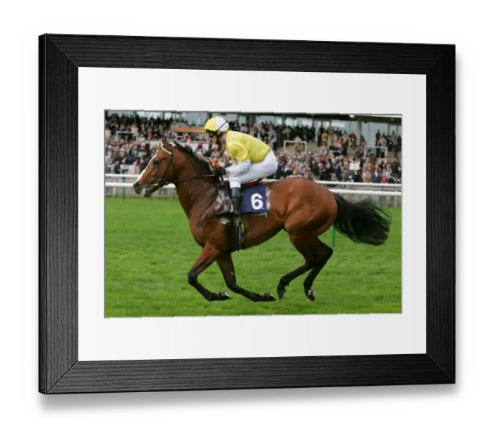 Framed Print : Killybegs Ridden By M.Hills Craven Meeting, Newmarket Rowley Mile Course Framed Print : Killybegs Ridden By M.Hills Craven Meeting, Newmarket Rowley Mile Course