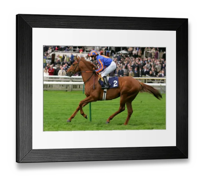 Framed Print : City Of Troy Framed Print : City Of Troy