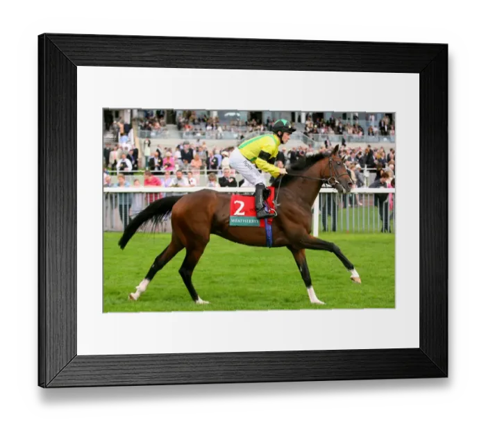 Framed Print : Baddam Ridden By Ian Mongan York Ebor Festival 2006 York Racecourse Framed Print : Baddam Ridden By Ian Mongan York Ebor Festival 2006 York Racecourse