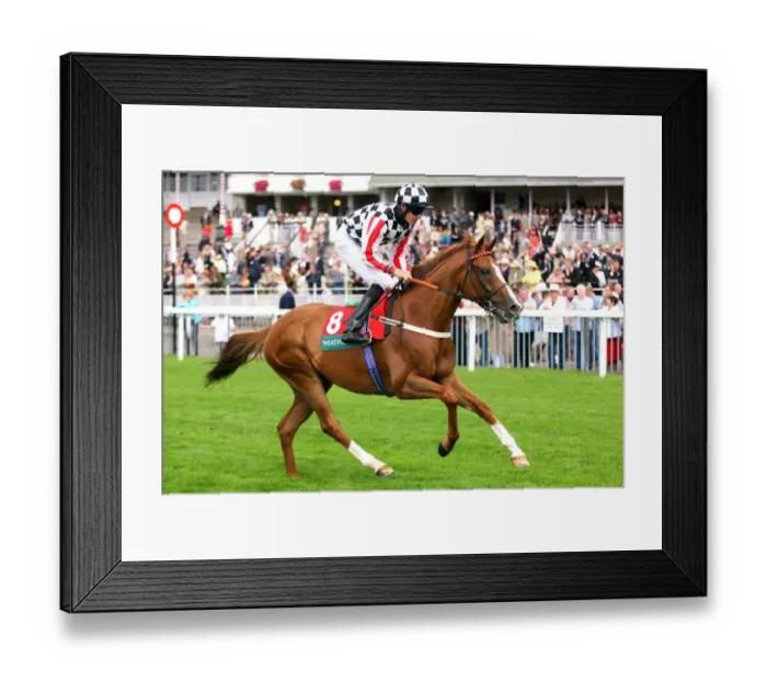 Framed Print : High Action