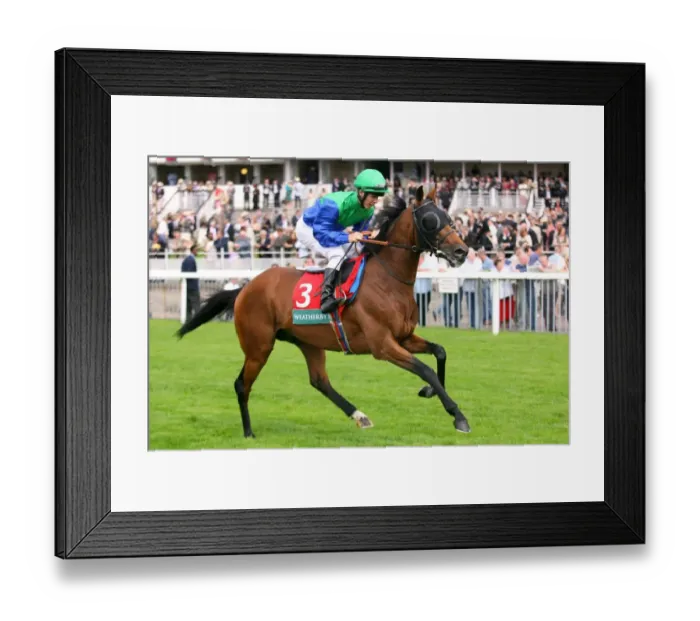 Framed Print : Bulwark Ridden By Kerrin Mcevoy York Ebor Festival 2006 York Racecourse Framed Print : Bulwark Ridden By Kerrin Mcevoy York Ebor Festival 2006 York Racecourse