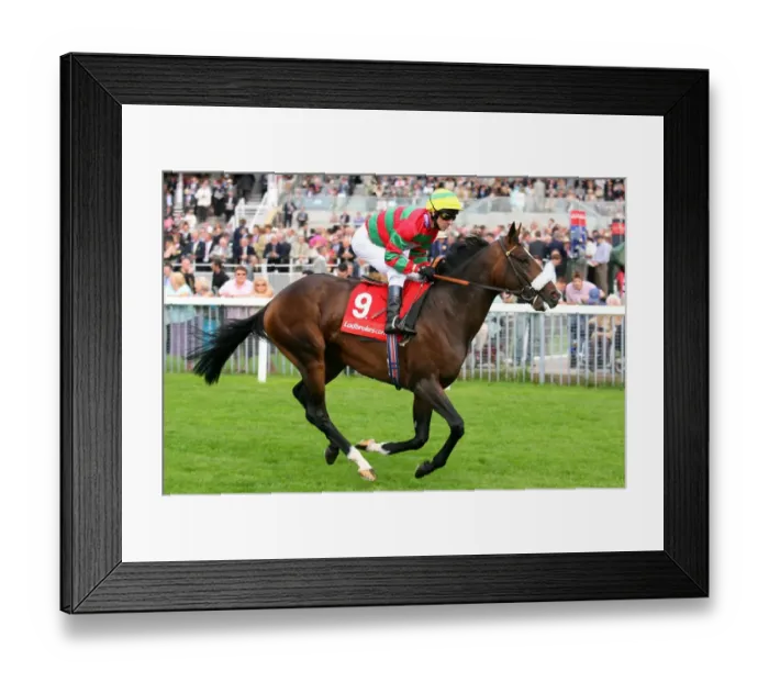 Framed Print : The Last Drop Framed Print : The Last Drop