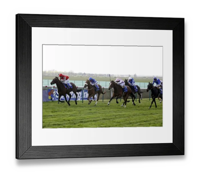 Framed Print : Scarlet Runner Ridden By Kerrin Mcevoy Ahead Of Blue Rocket Framed Print : Scarlet Runner Ridden By Kerrin Mcevoy Ahead Of Blue Rocket