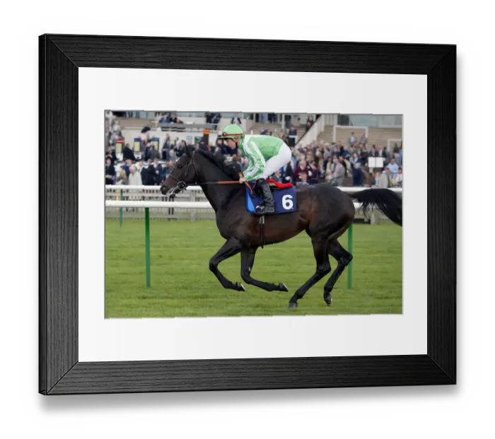 Framed Print : Moonshaft Ridden By S.Drowne Newmarket Craven Meeting Newmarket Racecourse Framed Print : Moonshaft Ridden By S.Drowne Newmarket Craven Meeting Newmarket Racecourse