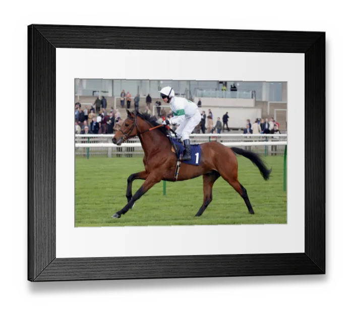 Framed Print : Buckeye Wonder