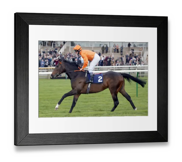 Framed Print : Coming Of Age Framed Print : Coming Of Age