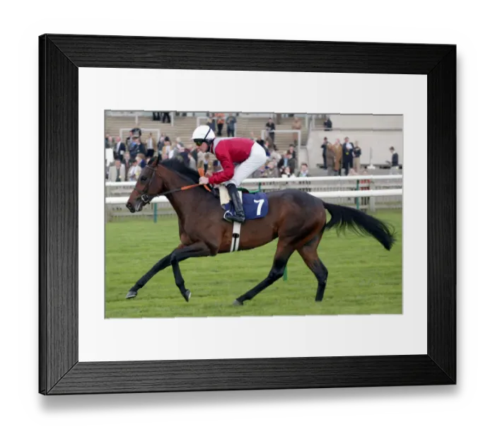 Framed Print : Nietzsche Ridden By R.Hughes Newmarket Craven Meeting Newmarket Racecourse Framed Print : Nietzsche Ridden By R.Hughes Newmarket Craven Meeting Newmarket Racecourse