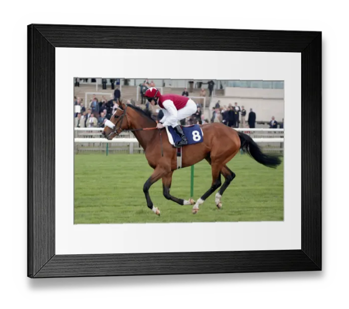 Framed Print : Parliament Square Framed Print : Parliament Square