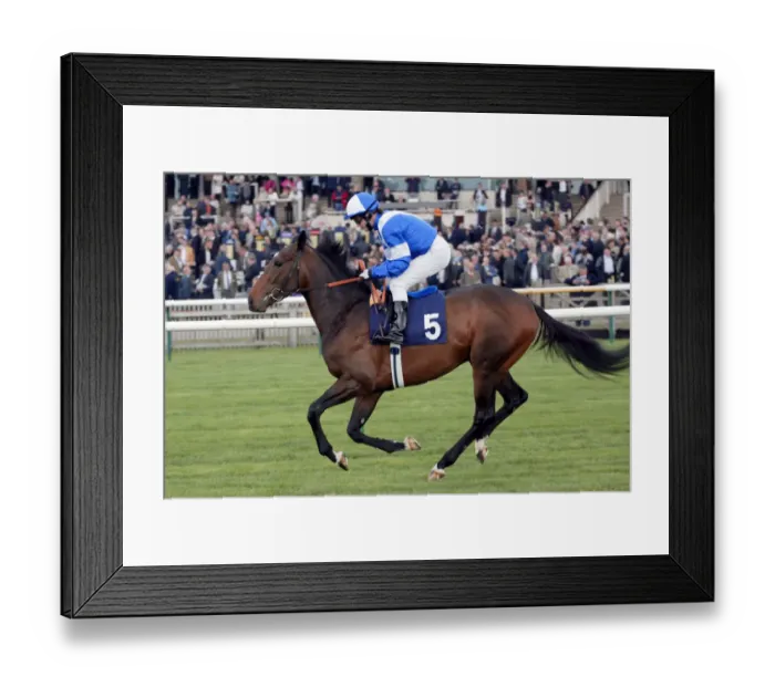 Framed Print : Gironde Ridden By K.Fallon Newmarket Craven Meeting Newmarket Racecourse Framed Print : Gironde Ridden By K.Fallon Newmarket Craven Meeting Newmarket Racecourse