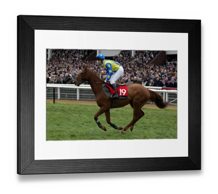 Framed Print : Rouble Ridden By L.Aspell Cheltenham Festival 2002 Cheltenham Racecourse Framed Print : Rouble Ridden By L.Aspell Cheltenham Festival 2002 Cheltenham Racecourse