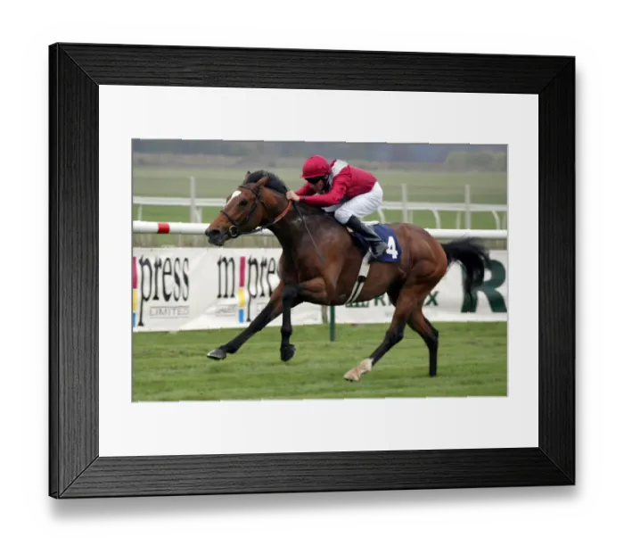 Framed Print : Ecomium Ridden By E.Ahern Newmarket Craven Meeting Newmarket Racecourse Framed Print : Ecomium Ridden By E.Ahern Newmarket Craven Meeting Newmarket Racecourse