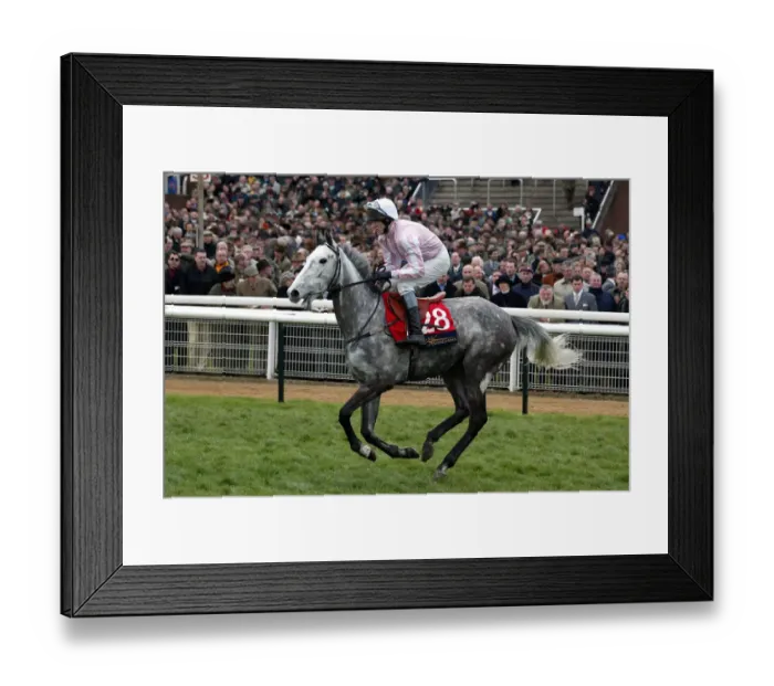 Framed Print : Tucacas Ridden By T.Scudamore Cheltenham Festival 2002 Cheltenham Racecourse Framed Print : Tucacas Ridden By T.Scudamore Cheltenham Festival 2002 Cheltenham Racecourse