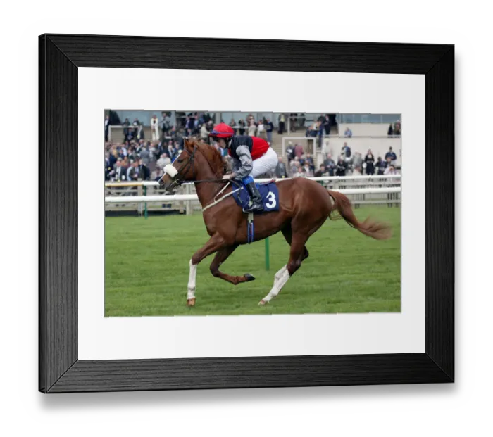 Framed Print : Dario Gee Gee Framed Print : Dario Gee Gee