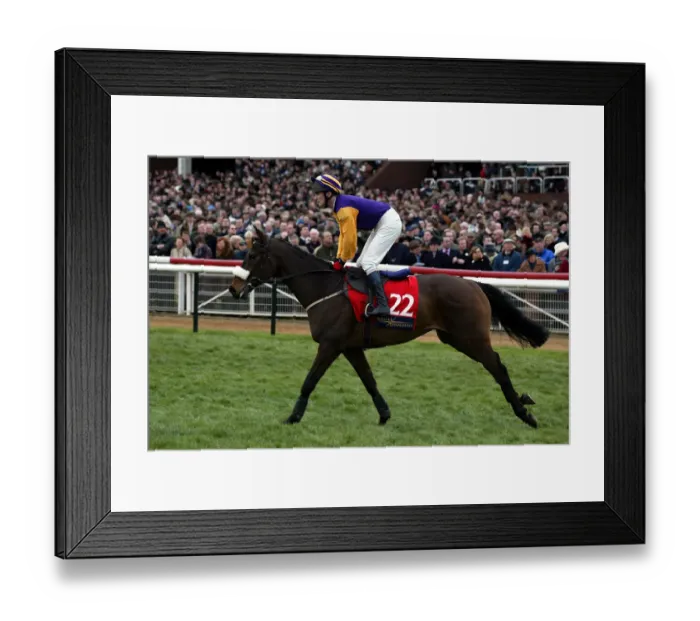 Framed Print : Thari Ridden By P.Carberry Cheltenham Festival 2002 Cheltenham Racecourse Framed Print : Thari Ridden By P.Carberry Cheltenham Festival 2002 Cheltenham Racecourse