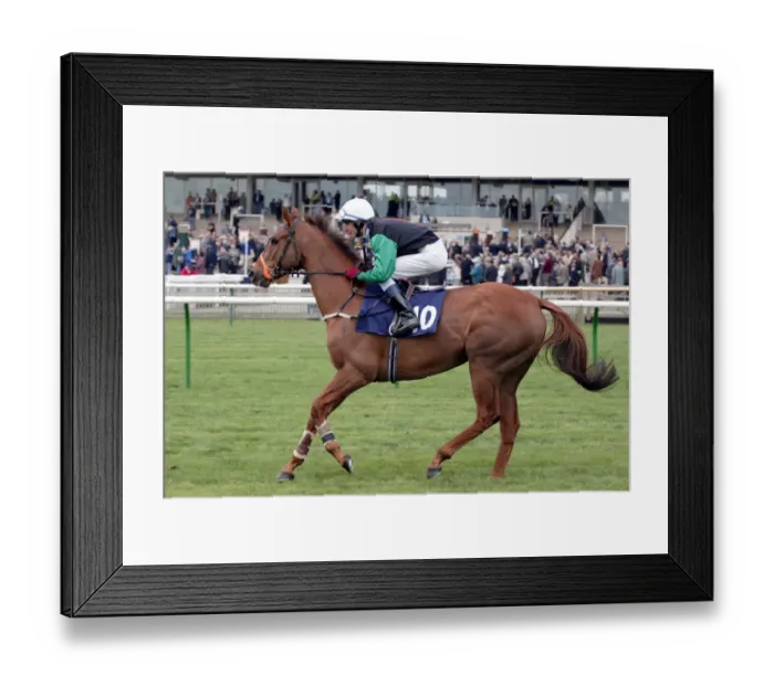 Framed Print : Thihn Ridden By A.Daly Newmarket Craven Meeting Newmarket Racecourse Framed Print : Thihn Ridden By A.Daly Newmarket Craven Meeting Newmarket Racecourse