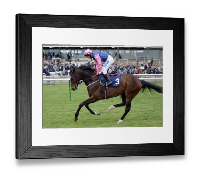 Framed Print : Audience Ridden By T.Quinn Newmarket Craven Meeting Newmarket Racecourse Framed Print : Audience Ridden By T.Quinn Newmarket Craven Meeting Newmarket Racecourse
