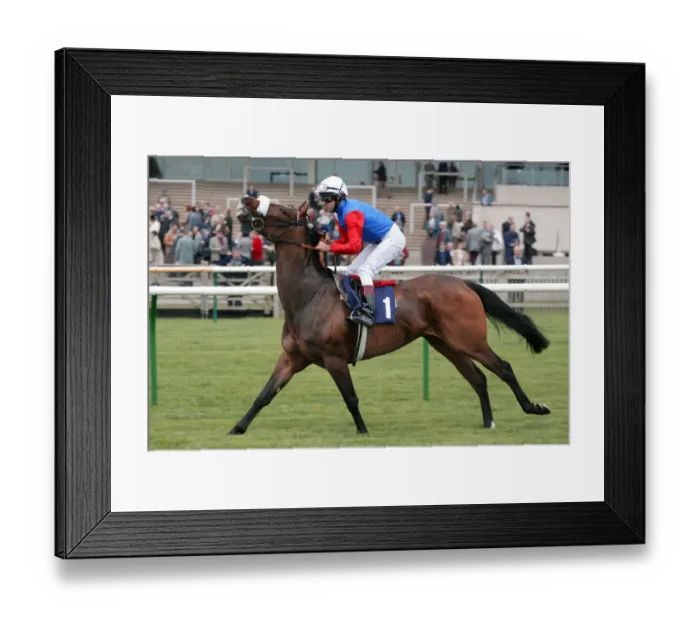Framed Print : Miss Ivanhoe Framed Print : Miss Ivanhoe