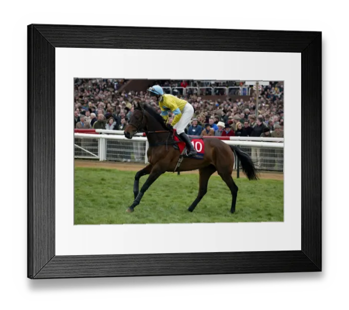 Framed Print : Inching Closer Framed Print : Inching Closer