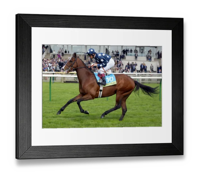 Framed Print : Blue Tomato Framed Print : Blue Tomato