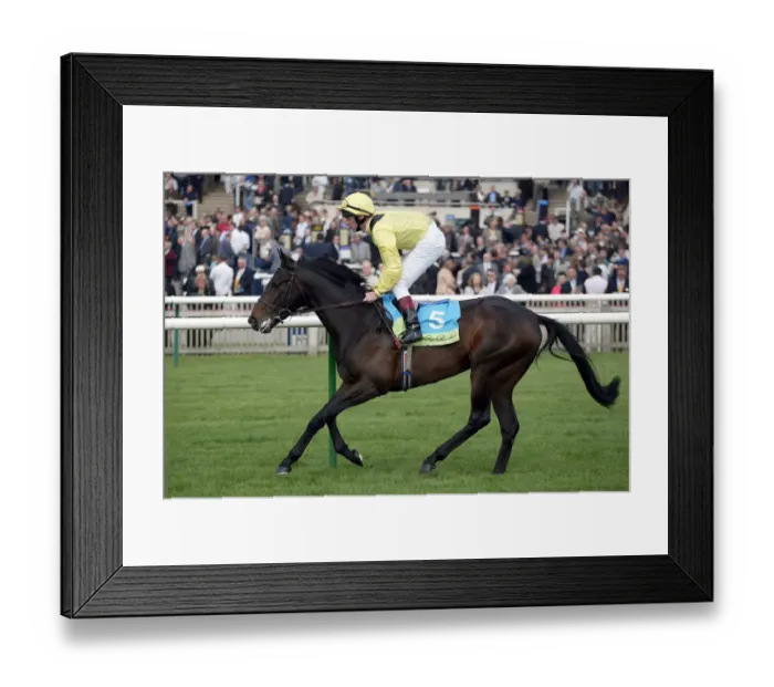 Framed Print : Mokabra Ridden By T.E.Durcan Newmarket Craven Meeting 2004 Newmarket Racecourse Framed Print : Mokabra Ridden By T.E.Durcan Newmarket Craven Meeting 2004 Newmarket Racecourse
