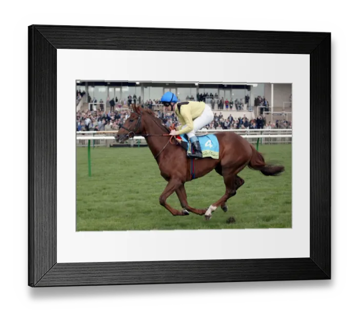 Framed Print : Tahreeb Ridden By Martin Dwyer Newmarket Craven Meeting 2004 Newmarket Racecourse Framed Print : Tahreeb Ridden By Martin Dwyer Newmarket Craven Meeting 2004 Newmarket Racecourse