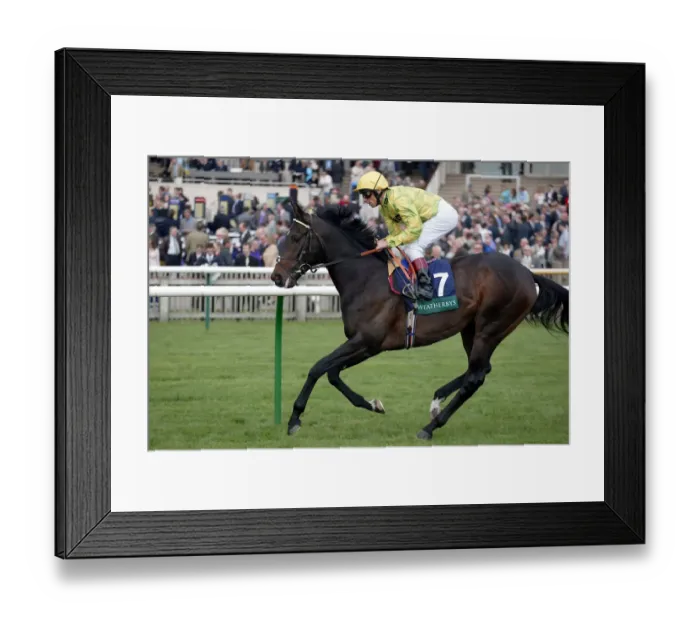 Framed Print : Wake Ridden By L.Dettori Newmarket Craven Meeting 2004 Newmarket Racecourse Framed Print : Wake Ridden By L.Dettori Newmarket Craven Meeting 2004 Newmarket Racecourse