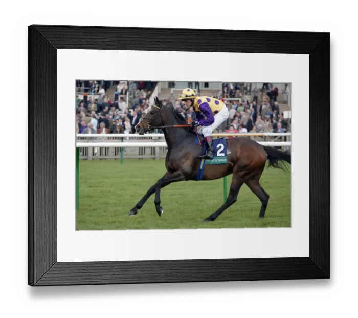 Framed Print : Eastern Breeze