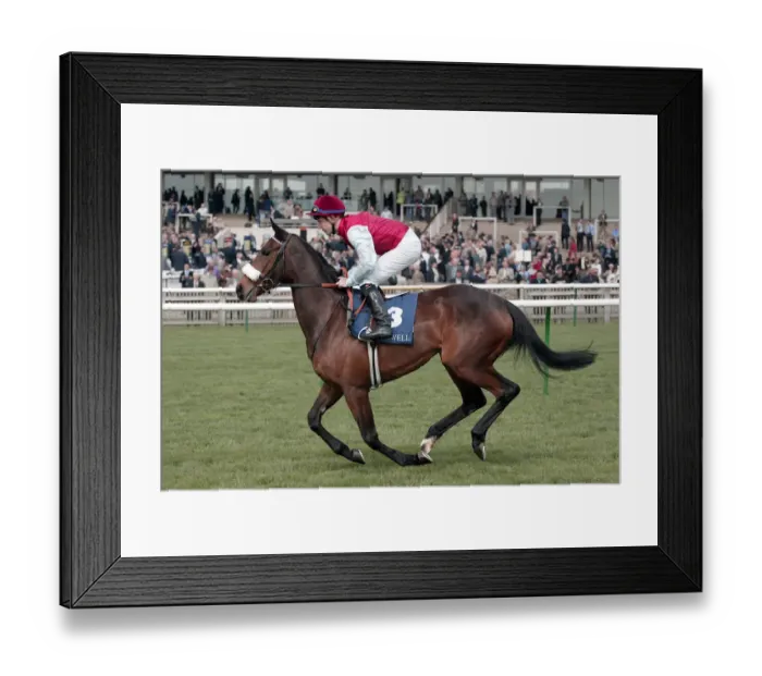 Framed Print : Incheni Ridden By S.Drowne Newmarket Craven Meeting 2004 Newmarket Racecourse Framed Print : Incheni Ridden By S.Drowne Newmarket Craven Meeting 2004 Newmarket Racecourse