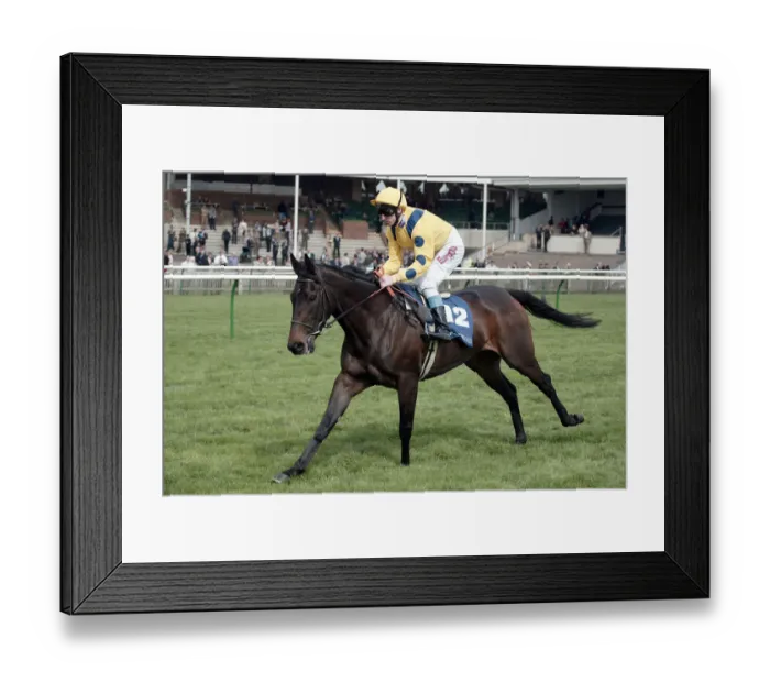 Framed Print : Totally Yours Framed Print : Totally Yours