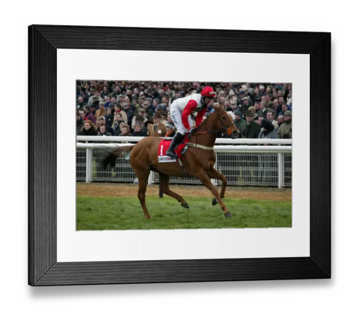 Framed Print : Cenkos Ridden By T.J.Murphy Cheltenham Festival 2002 Cheltenham Racecourse Framed Print : Cenkos Ridden By T.J.Murphy Cheltenham Festival 2002 Cheltenham Racecourse