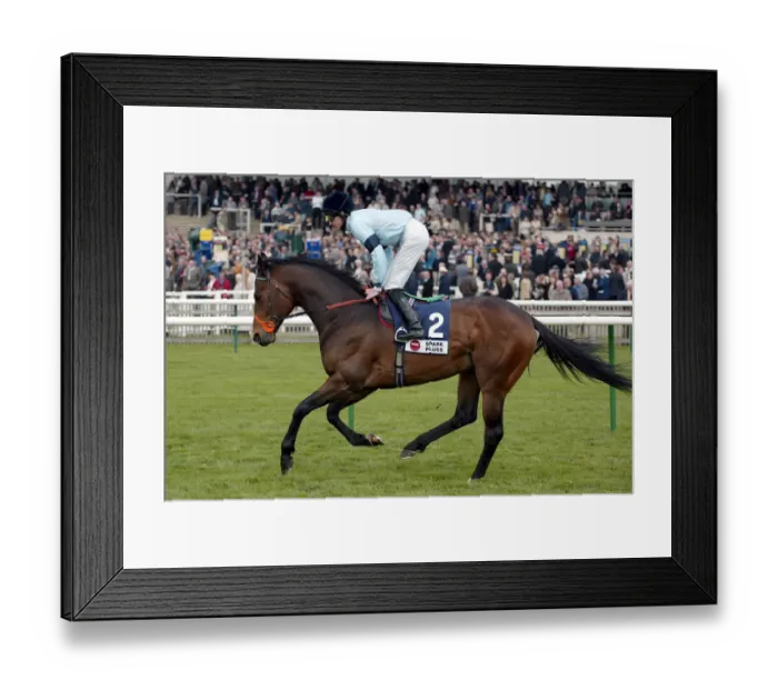 Framed Print : Bonus Ridden By R.Hughes Newmarket Craven Meeting 2004 Newmarket Framed Print : Bonus Ridden By R.Hughes Newmarket Craven Meeting 2004 Newmarket