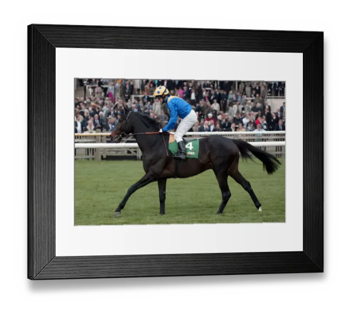 Framed Print : Imperial Stride
