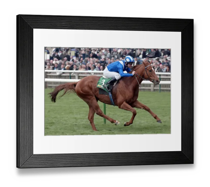Framed Print : Haafhd Wins Craven Stakes 2004 Framed Print : Haafhd Wins Craven Stakes 2004