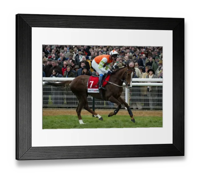 Framed Print : Latalomne Ridden By V.T Keane Cheltenham Festival 2002 Cheltenham Racecourse Framed Print : Latalomne Ridden By V.T Keane Cheltenham Festival 2002 Cheltenham Racecourse