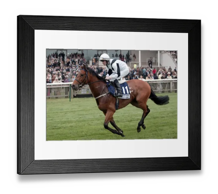 Framed Print : Gala Sunday Framed Print : Gala Sunday