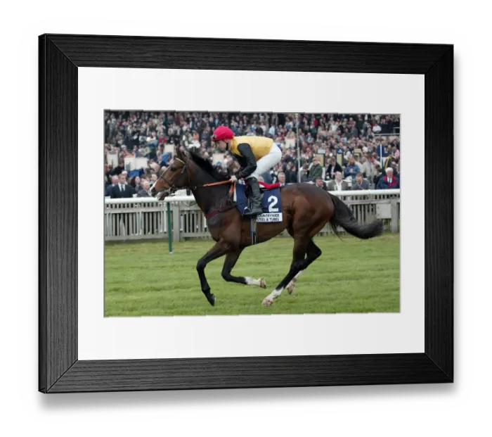 Framed Print : Famous Grouse Framed Print : Famous Grouse