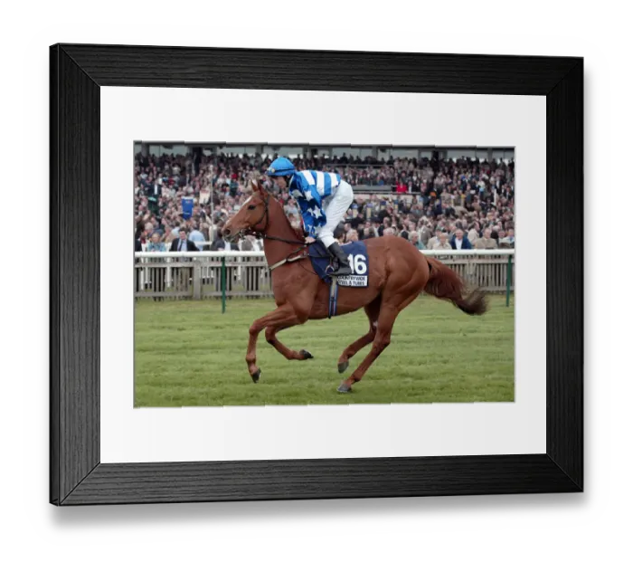 Framed Print : Everest Ridden By J.P.Spencer Newmarket Guineas Festival 04 Newmarket Racecourse Framed Print : Everest Ridden By J.P.Spencer Newmarket Guineas Festival 04 Newmarket Racecourse