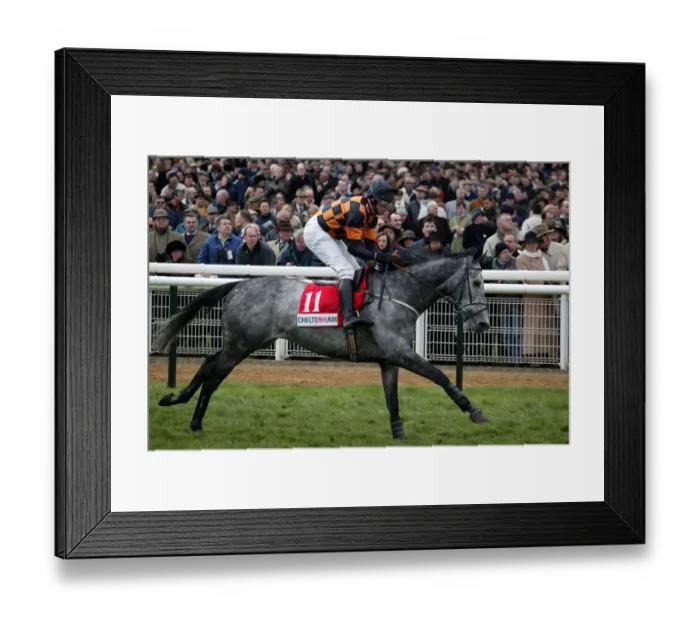 Framed Print : Turgeonev Ridden By R.Garritty Cheltenham Festival 2002 Cheltenham Racecourse Framed Print : Turgeonev Ridden By R.Garritty Cheltenham Festival 2002 Cheltenham Racecourse