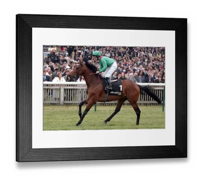 Framed Print : Azamour Ridden By M.J.Kinane Newmarket Guineas Festival 04 Newmarket Racecourse Framed Print : Azamour Ridden By M.J.Kinane Newmarket Guineas Festival 04 Newmarket Racecourse