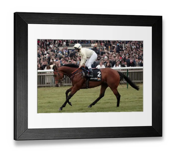 Framed Print : Bachelor Duke Framed Print : Bachelor Duke