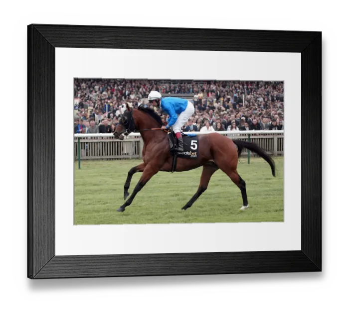 Framed Print : Golden Sahara Framed Print : Golden Sahara
